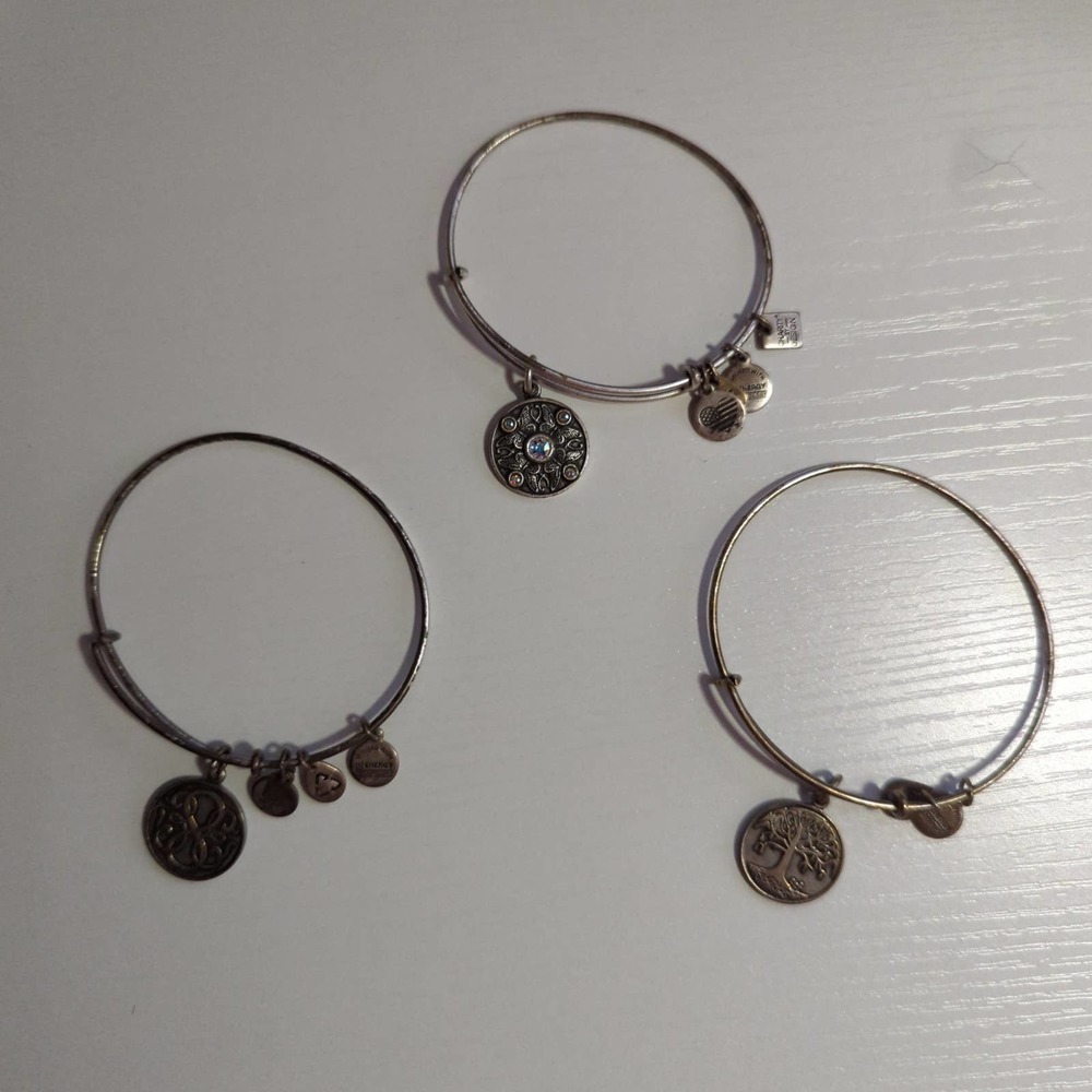 ALEX and Ani Bundle of 3 Bangle Charm Bracelets Adjustable